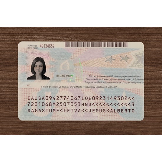 Employment Authorization Card